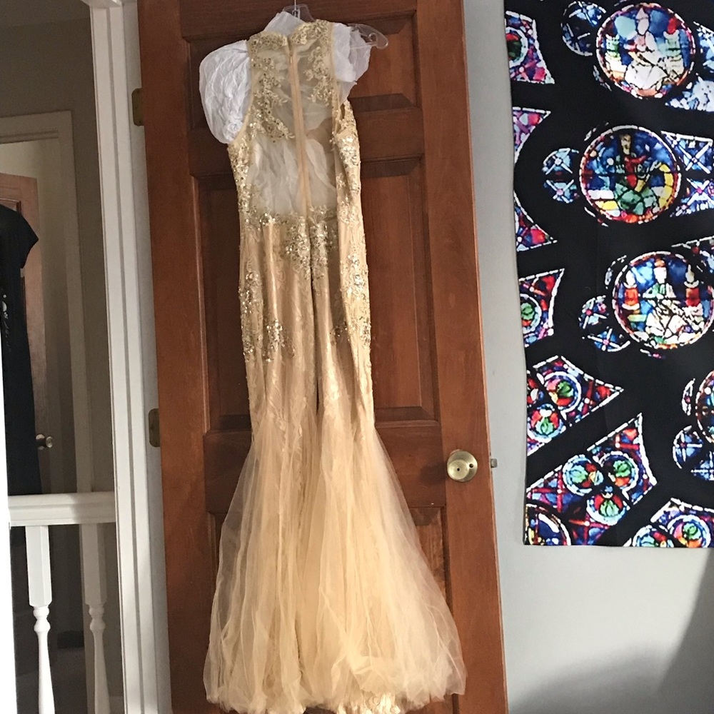 prom or evening dress